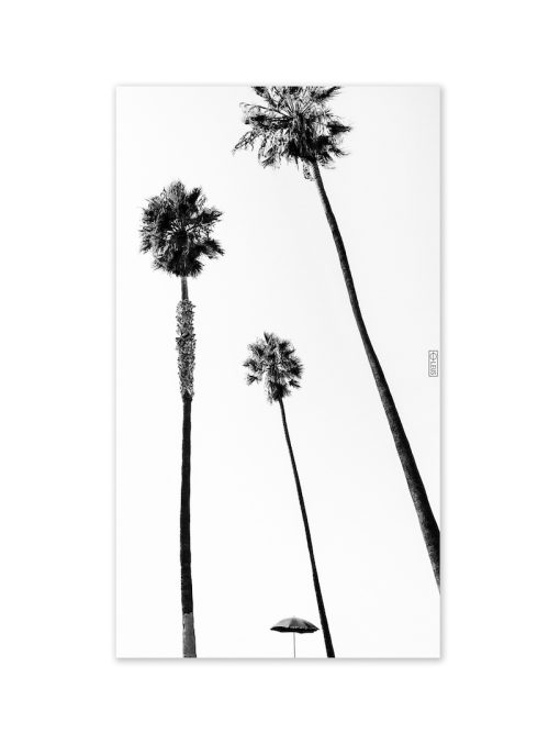 YOSHIFUMI SHIMIZU x LEUS / SPECIAL LIMITED MODEL